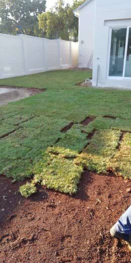 We Supply and Install instant grass, Farm Fresh and Evergreen 